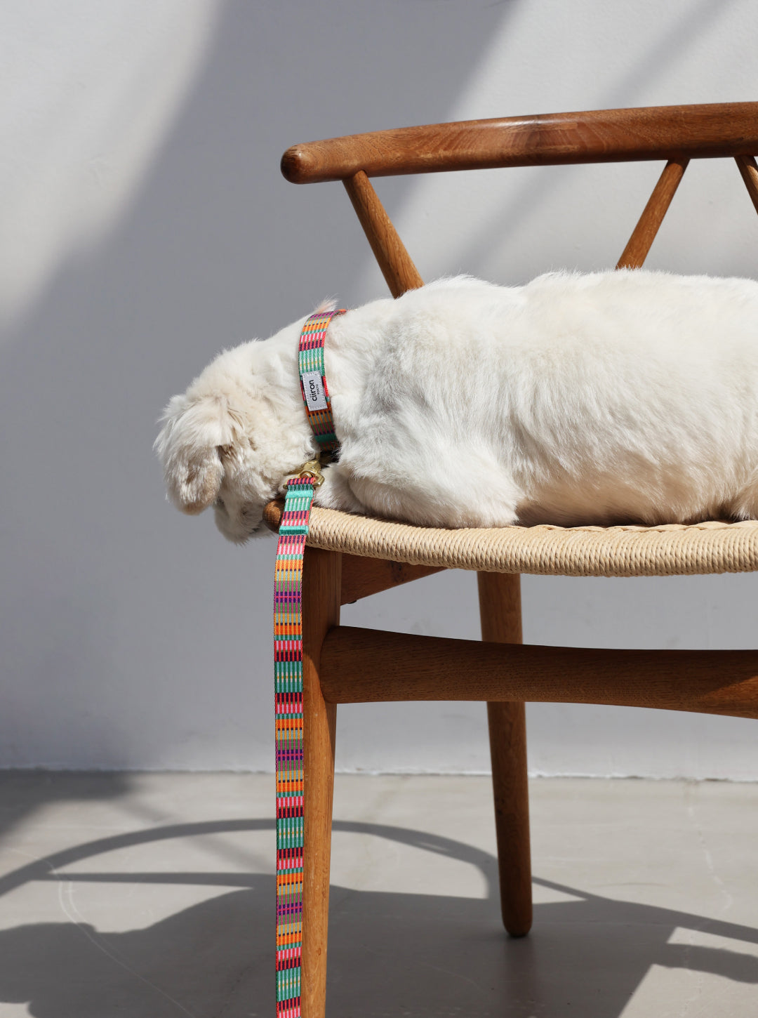 リード AMY 再入荷！ – ciiron tokyo