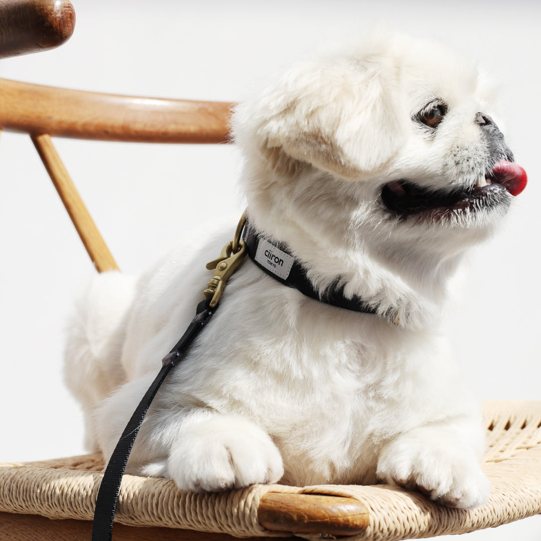 首輪 JIJI – ciiron tokyo