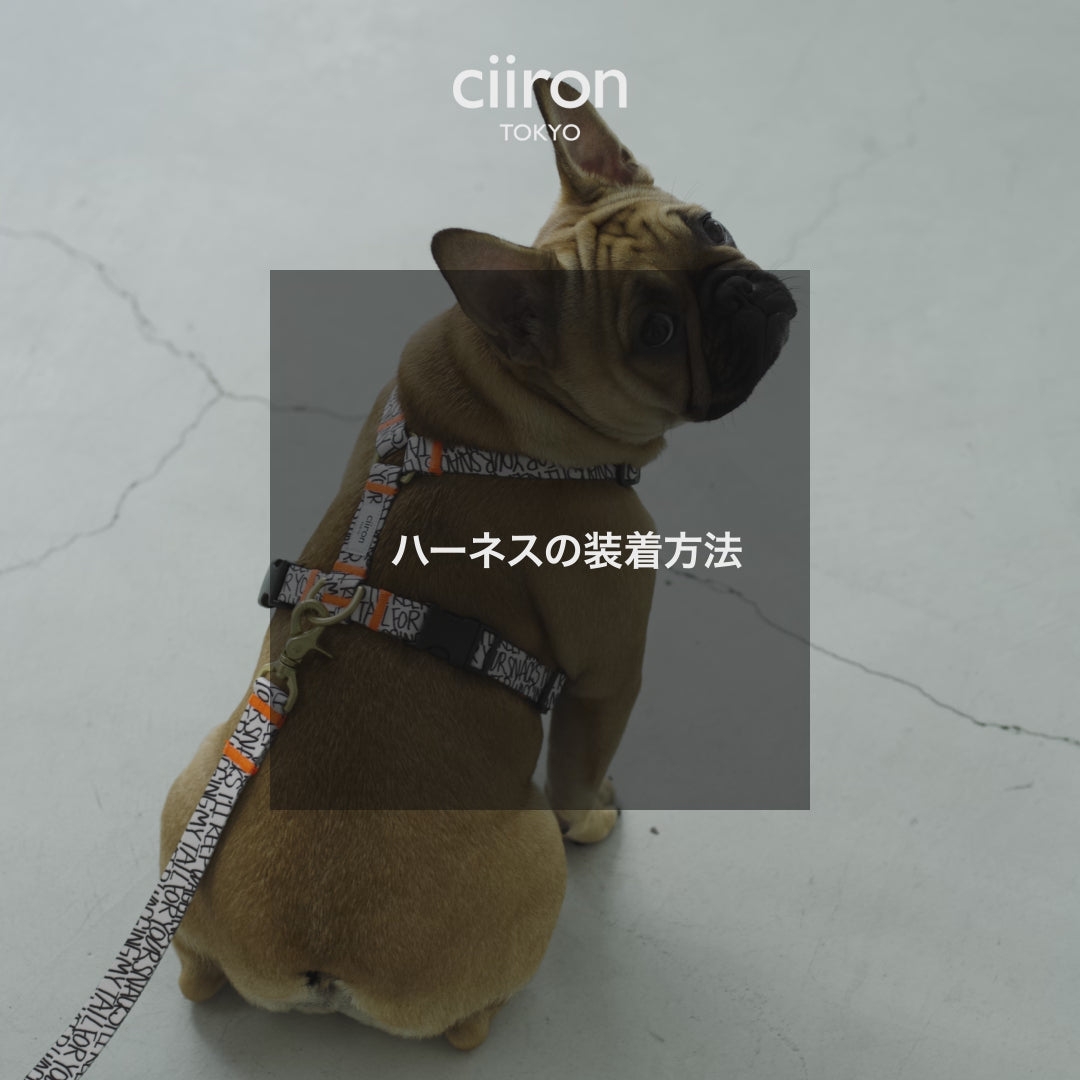 Sサイズ　ciiron ハーネス ハーネス Lemon – ciiron tokyo