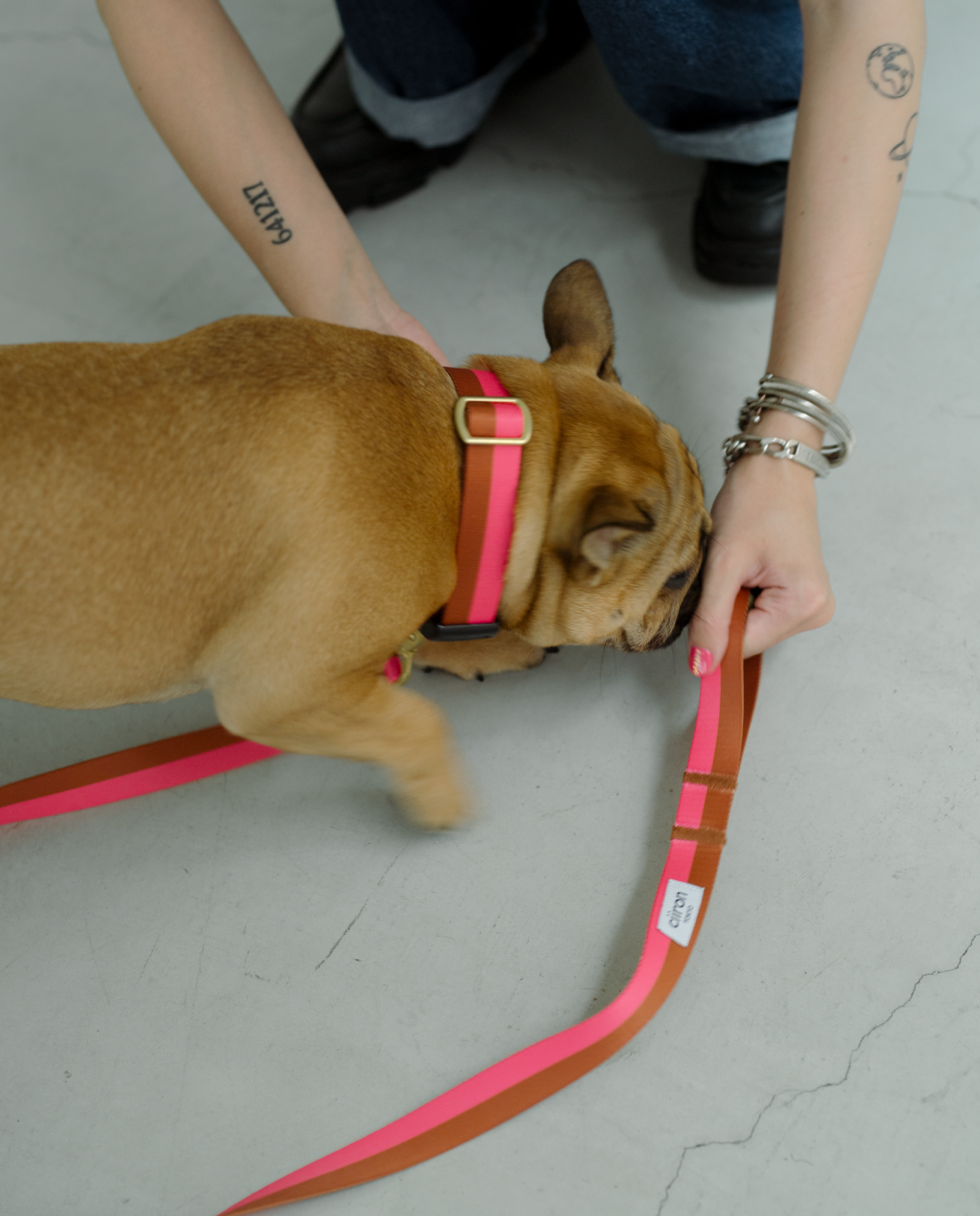 リード Plum ー復刻販売ー – ciiron tokyo