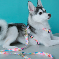 ハーネス Aurora – ciiron tokyo