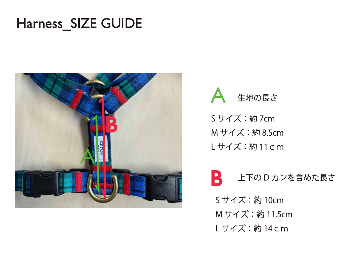 スライド画像