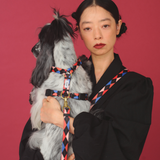 ハーネス Sophie　10月10日（土）AMより受注スタート！