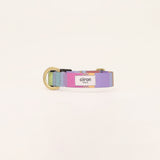 首輪　Candy　再入荷！