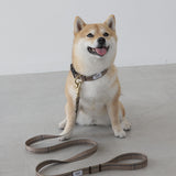 リード　Grace　再入荷！