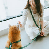 ハーネス GG（FUMI NIKAIDO × ciiron TOKYO Re:)　