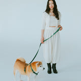 リード GG（FUMI NIKAIDO × ciiron TOKYO Re:)　