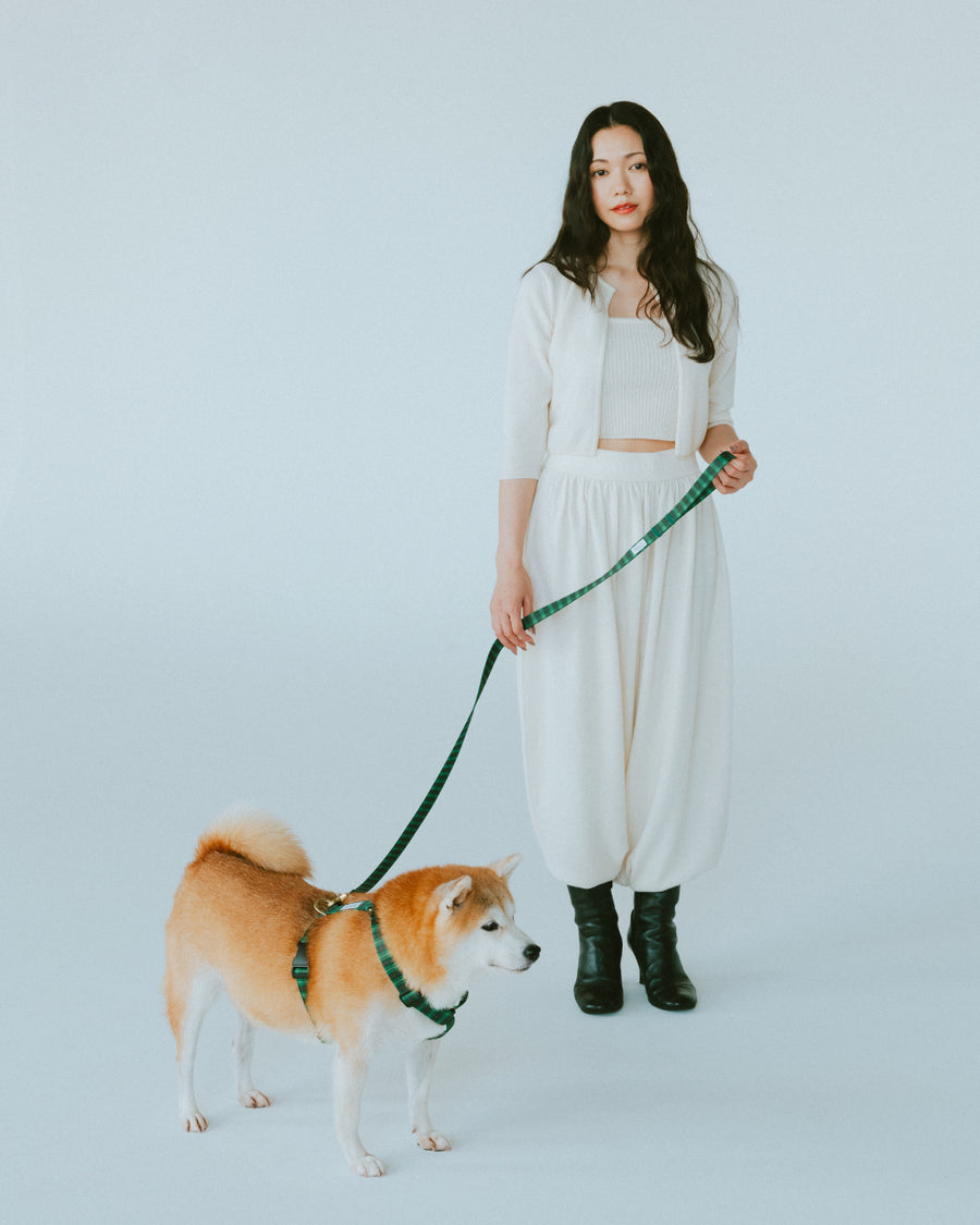 リード GG（FUMI NIKAIDO × ciiron TOKYO Re:)　11/7発売