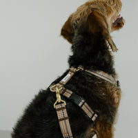 ハーネス Grace 再入荷！ – ciiron tokyo