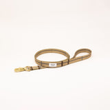 リード　Grace　再入荷！
