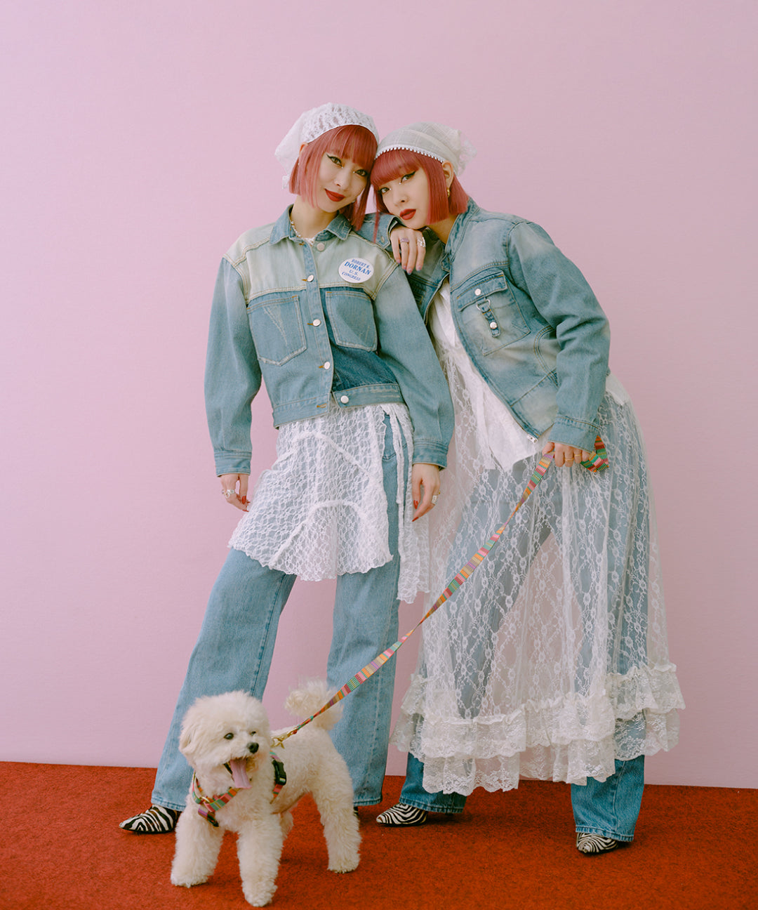 ハーネス　AMY　再入荷！　