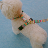 ハーネス　AMY　再入荷！　