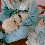 ハーネス　AMY　再入荷！　