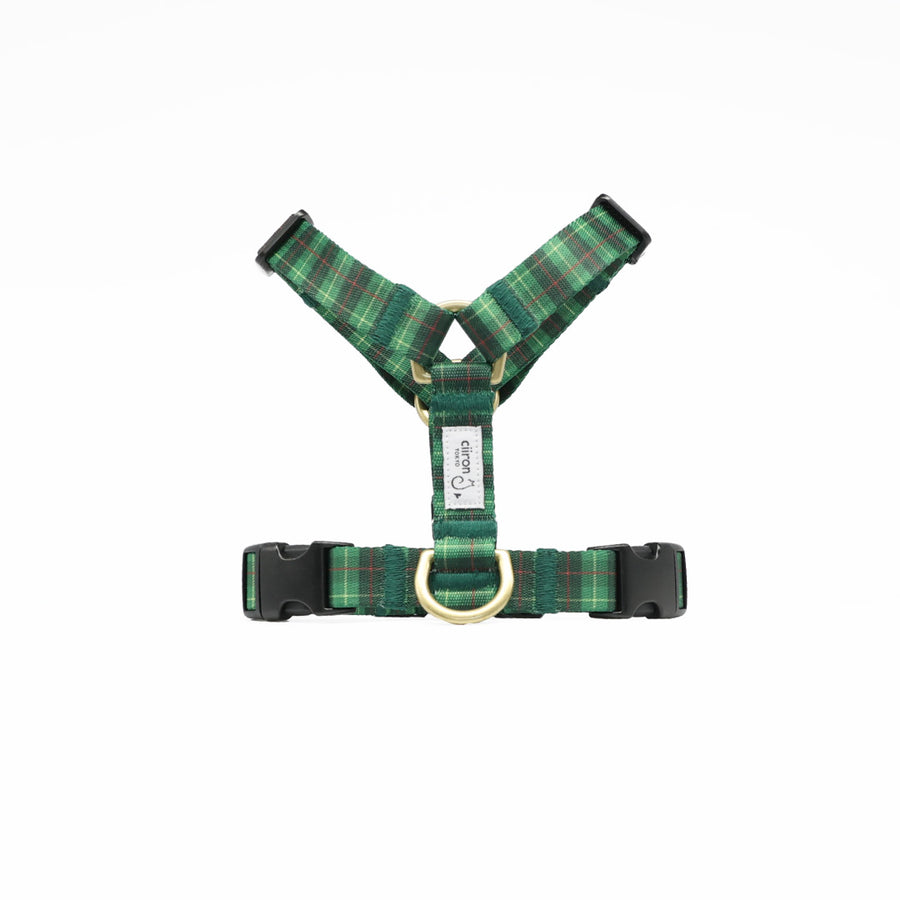 ハーネス GG（FUMI NIKAIDO × ciiron TOKYO Re:)　11/7発売