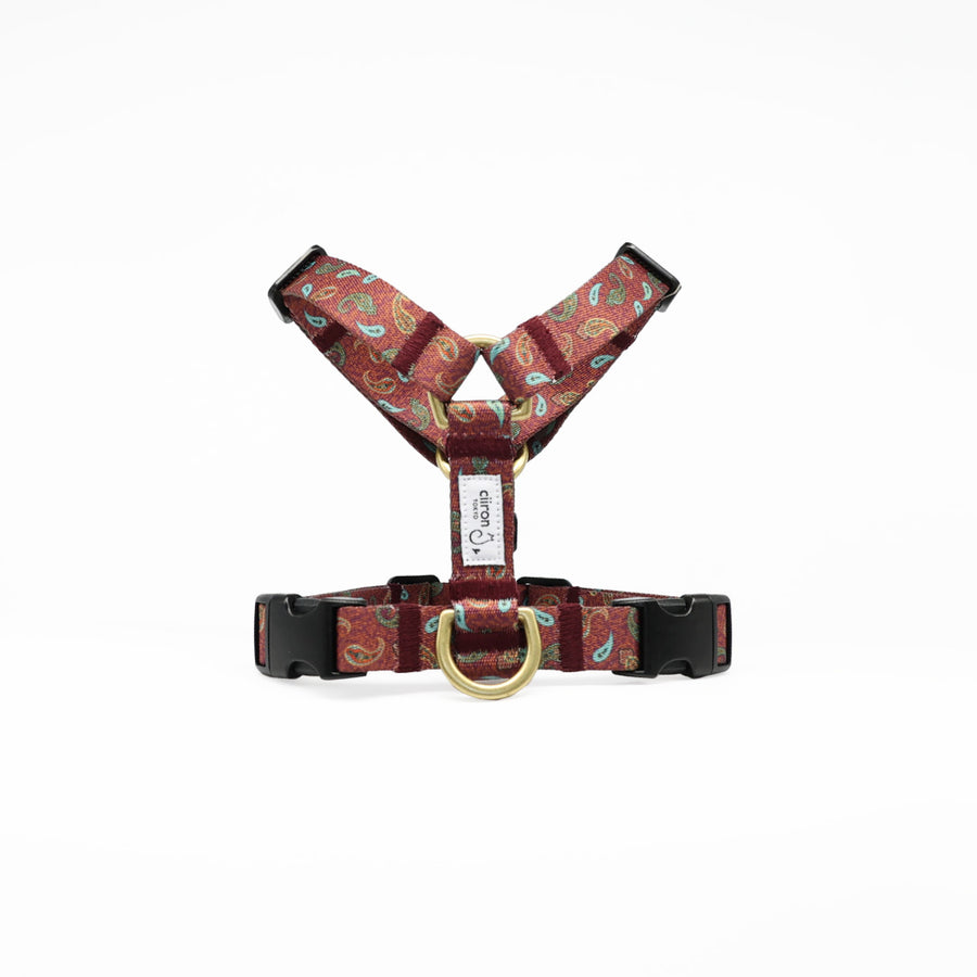 ハーネス ZOY（FUMI NIKAIDO × ciiron TOKYO Re:)　11/7発売