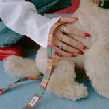 リード AMY　再入荷！