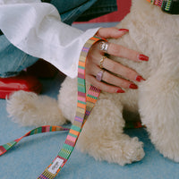 リード AMY 再入荷！ – ciiron tokyo