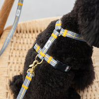 ハーネス Matthew 再入荷！ – ciiron tokyo