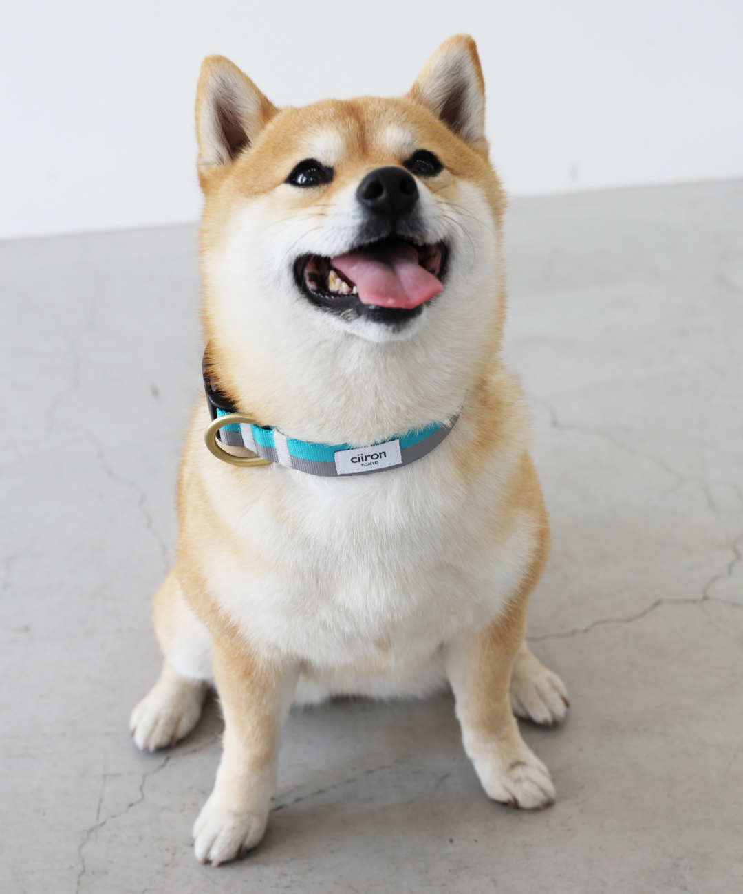 スライド画像