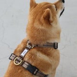 ハーネス  Grace　再入荷！