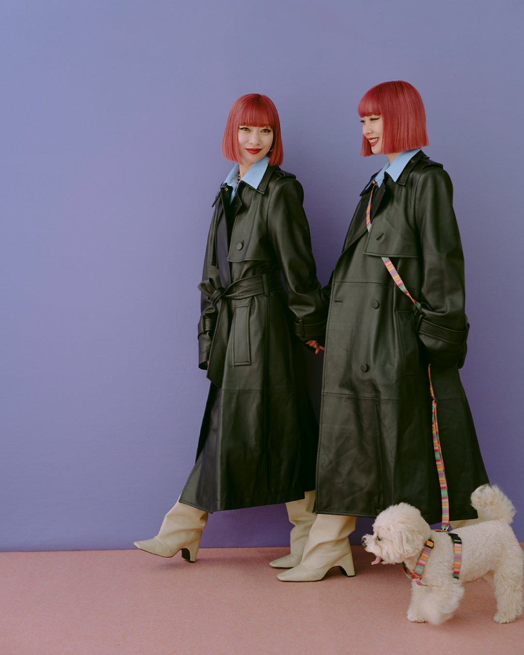 ショルダーリード AMY 再入荷！ – ciiron tokyo
