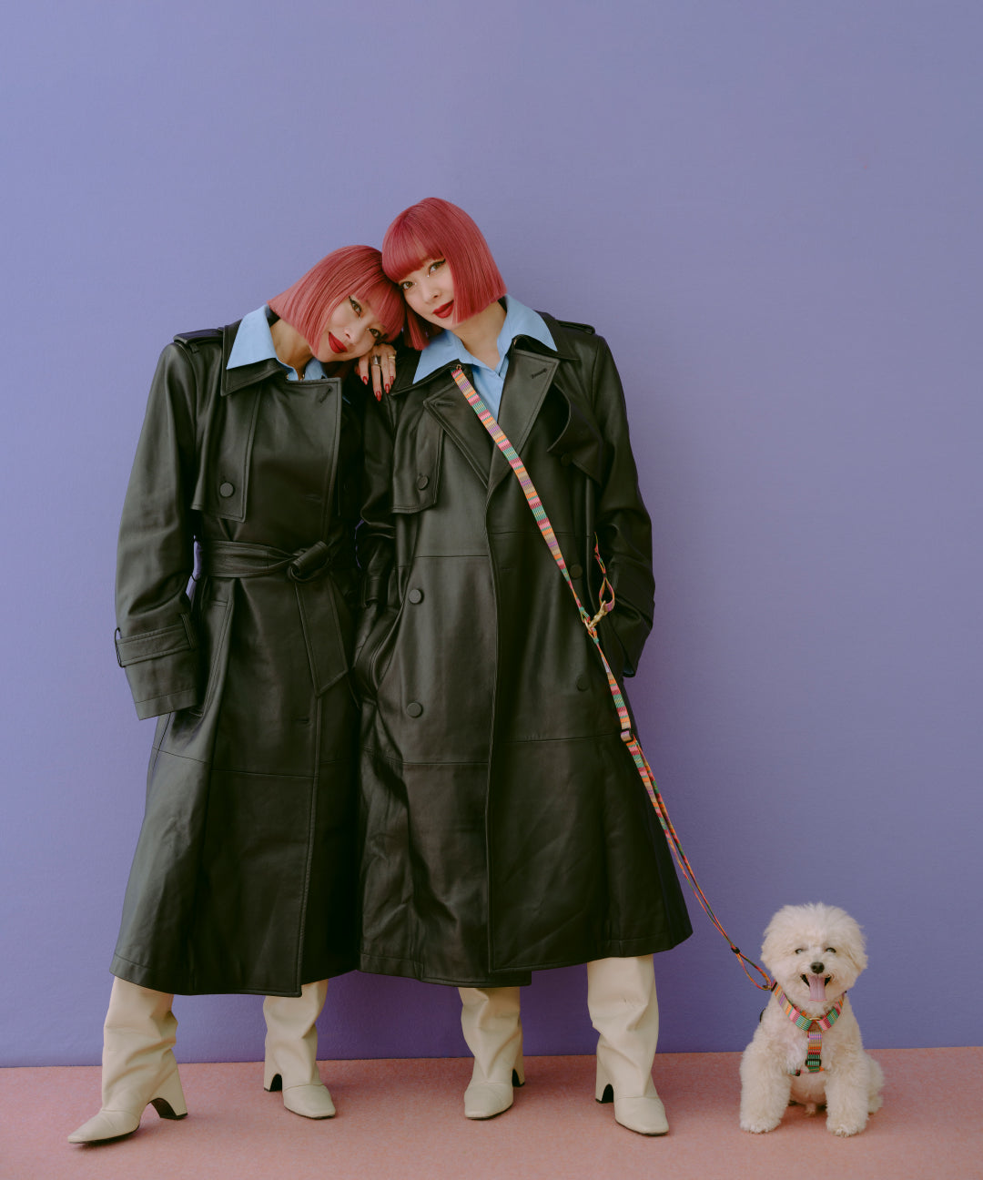ショルダーリード　AMY　再入荷！