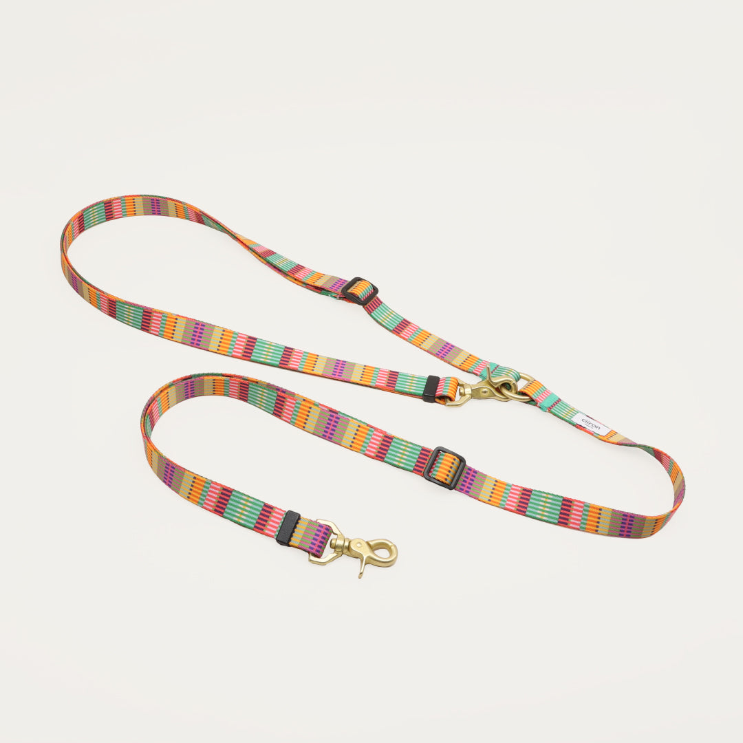 スライド画像
