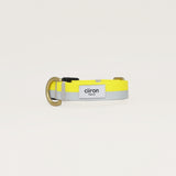 首輪　Lemon