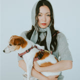 ハーネス ZOY（FUMI NIKAIDO × ciiron TOKYO Re:)　