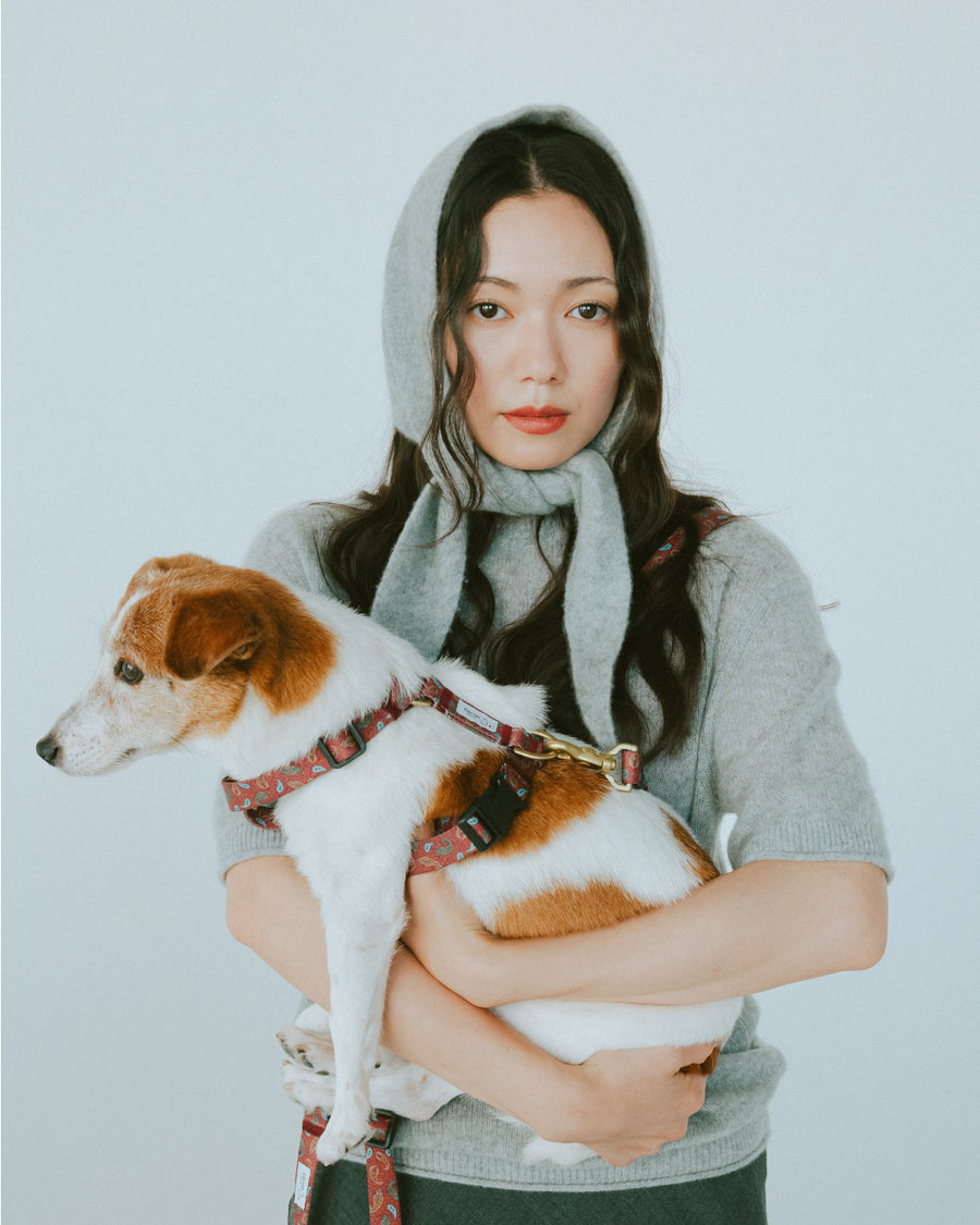 ハーネス ZOY（FUMI NIKAIDO × ciiron TOKYO Re:)　11/7発売