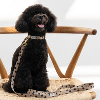 SIIILON Dear DOG trainer 犬 シーロン SIIILON Dear DOG trainer | trava