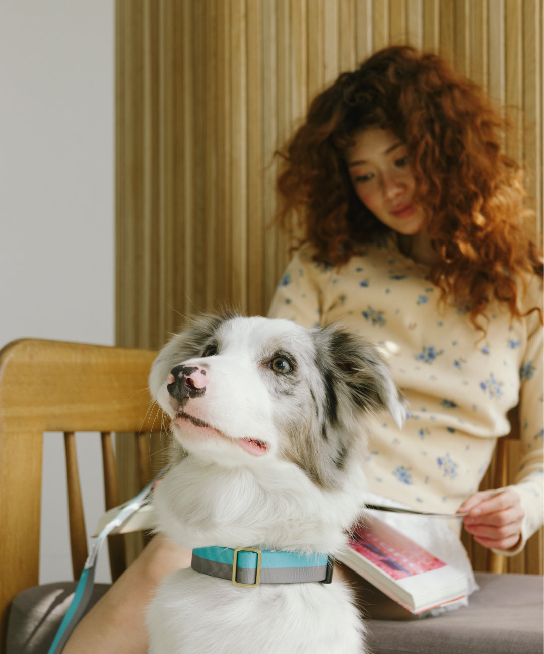 collar_98bad825-f86c-45a0-937c