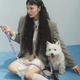 首輪　Candy　再入荷！
