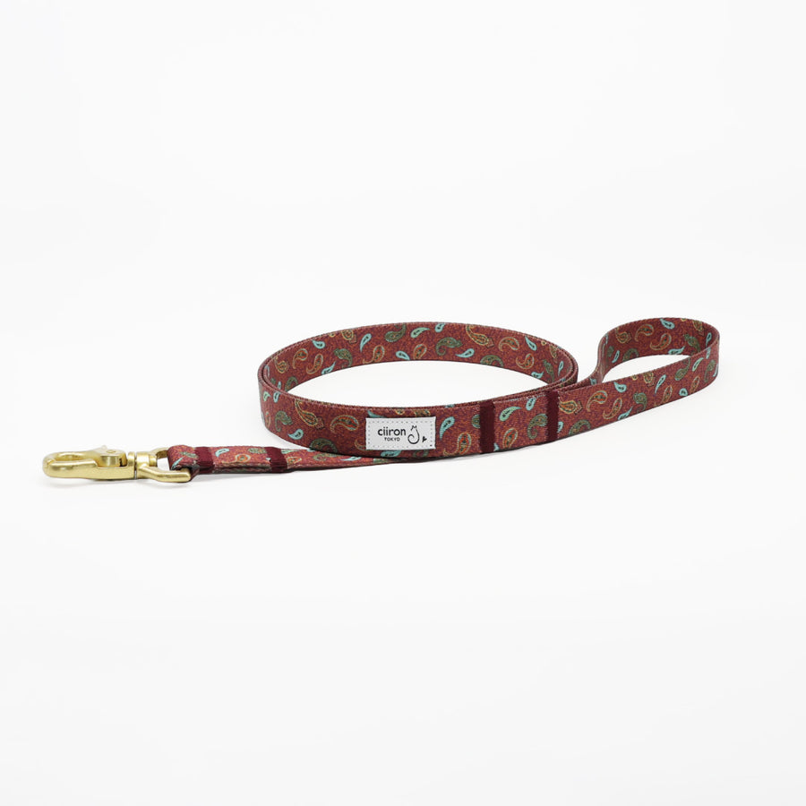 リード ZOY（FUMI NIKAIDO × ciiron TOKYO Re:)　11/7発売