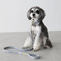 首輪 Matthew – ciiron tokyo