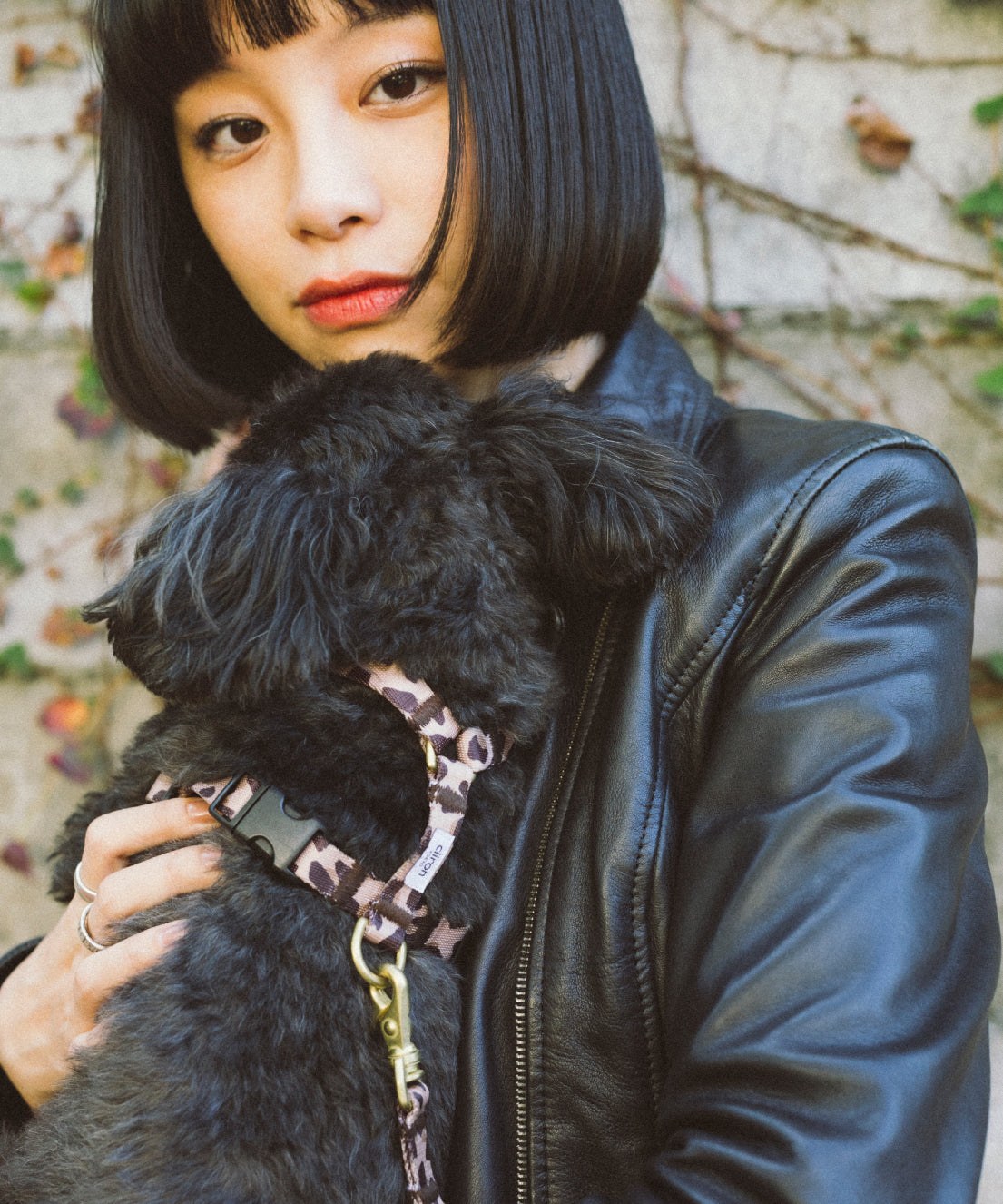 ハーネス　Monica
