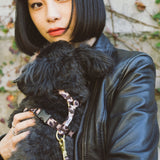 ハーネス　Monica