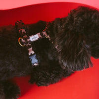 ハーネス Monica – ciiron tokyo