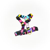 cirron 緑・ピンク ストライプ ハーネス 30551-Flagline-Harness-Lichen-
