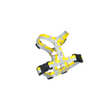 ハーネス Lemon　再入荷！