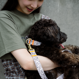 リード　TBH