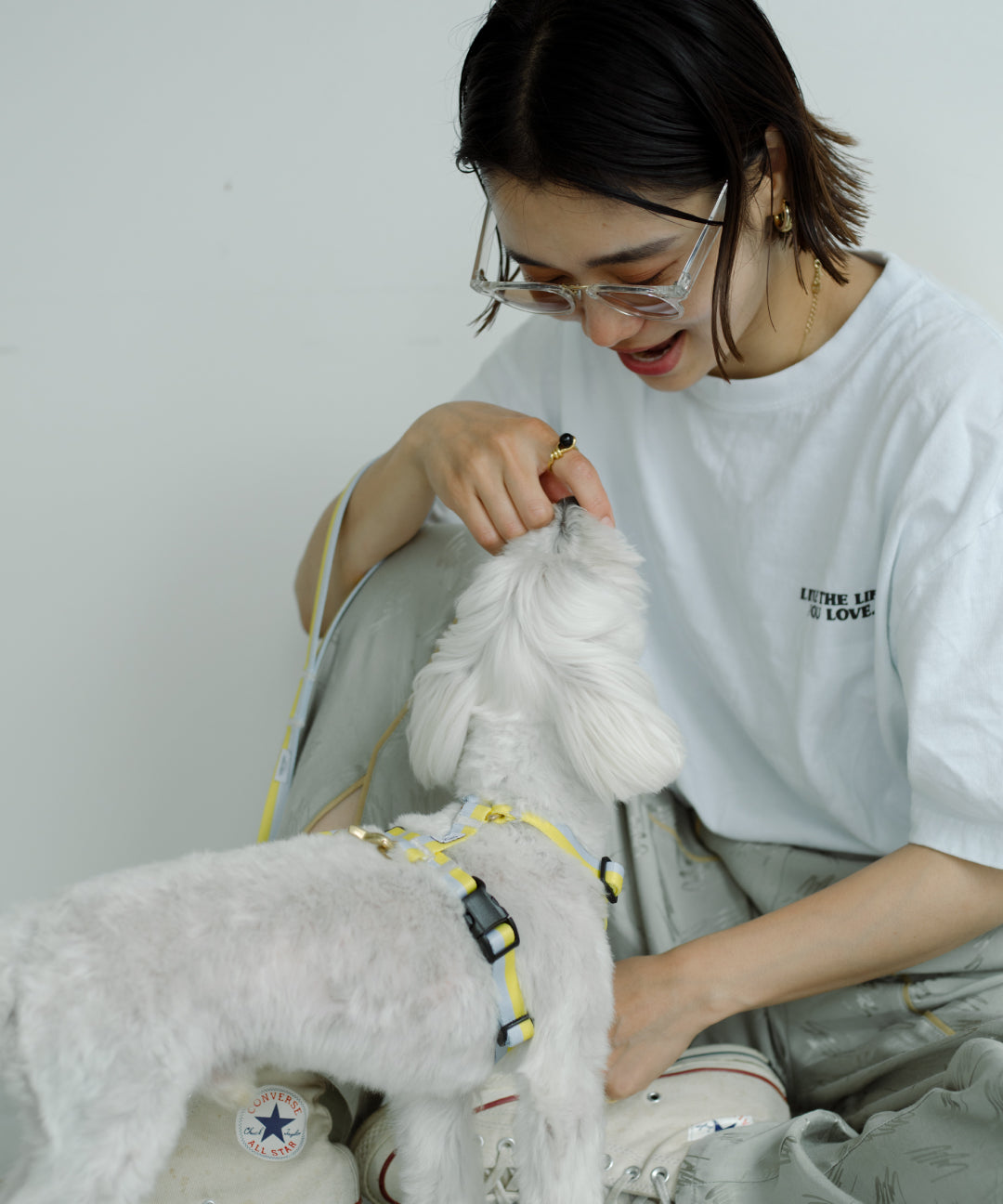 ハーネス Lemon　再入荷！