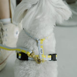 ハーネス Lemon　再入荷！
