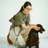 ハーネス　Charlie　再入荷！