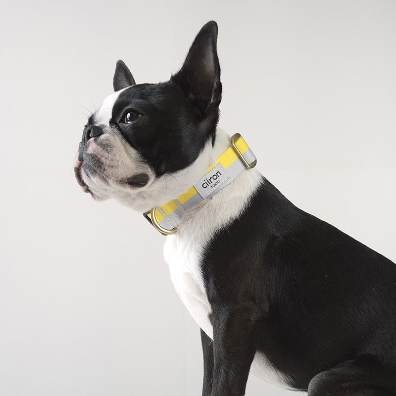 ciiron シーロン Lemon 犬用リード15mm＆ハーネスSのセット ハーネス Lemon – ciiron tokyo