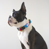 首輪 Polygon – ciiron tokyo