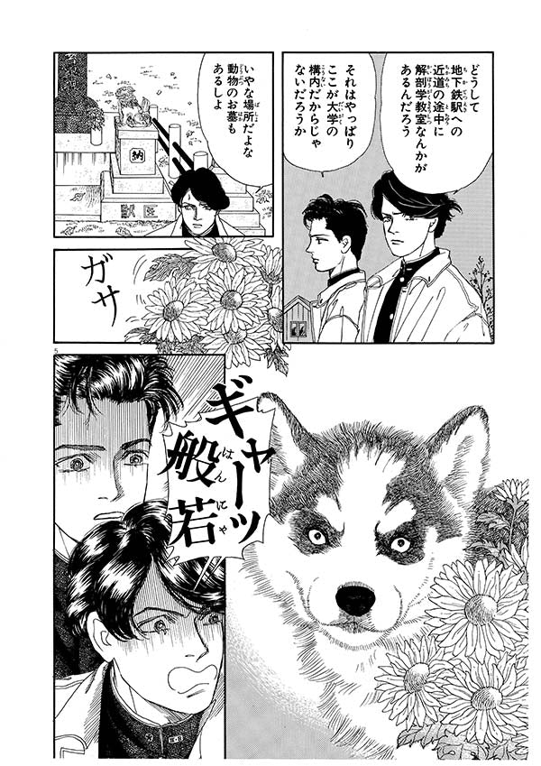 『動物のお医者さん』漫画ページ