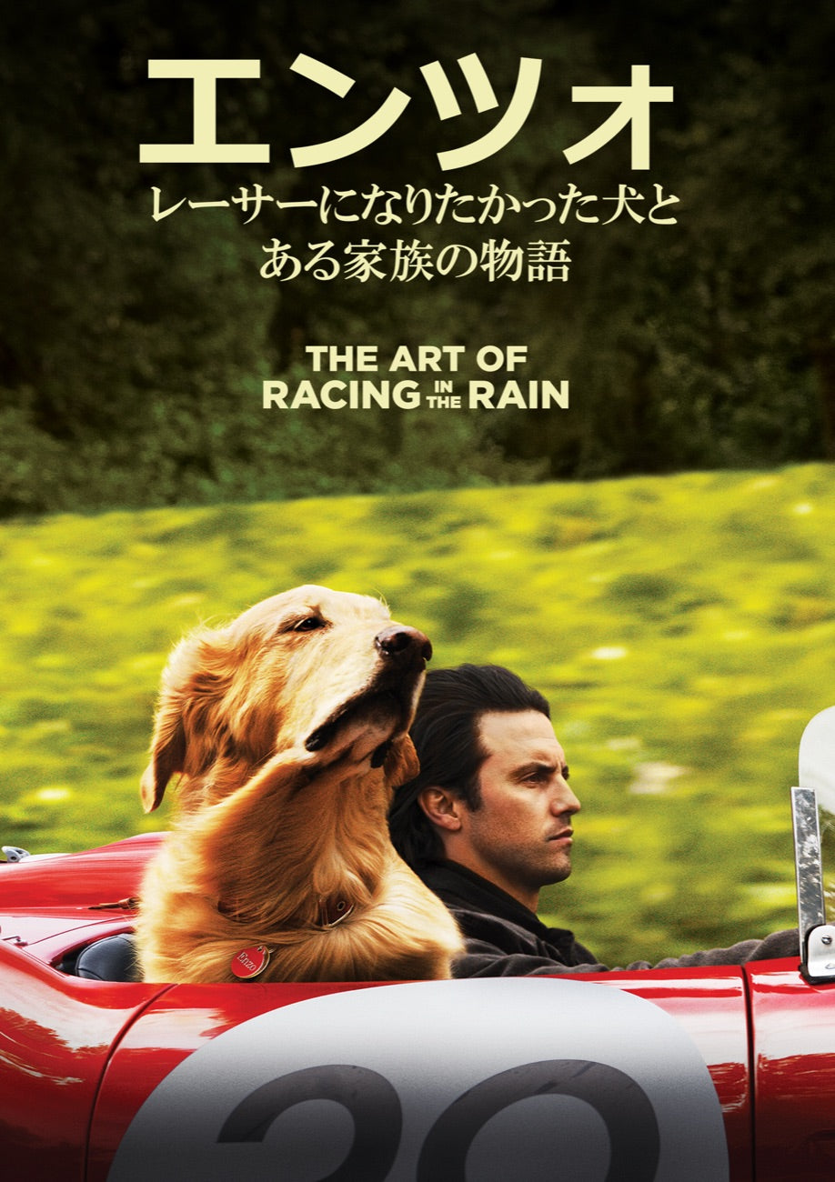 映画『エンツォ レーサーになりたかった犬とある家族の物語』ジャケット